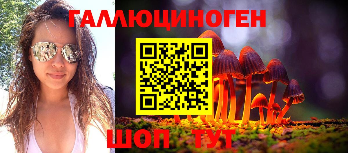 Псилоцибиновые грибы GOLDEN TEACHER  Вход с VPN  Феодосия 